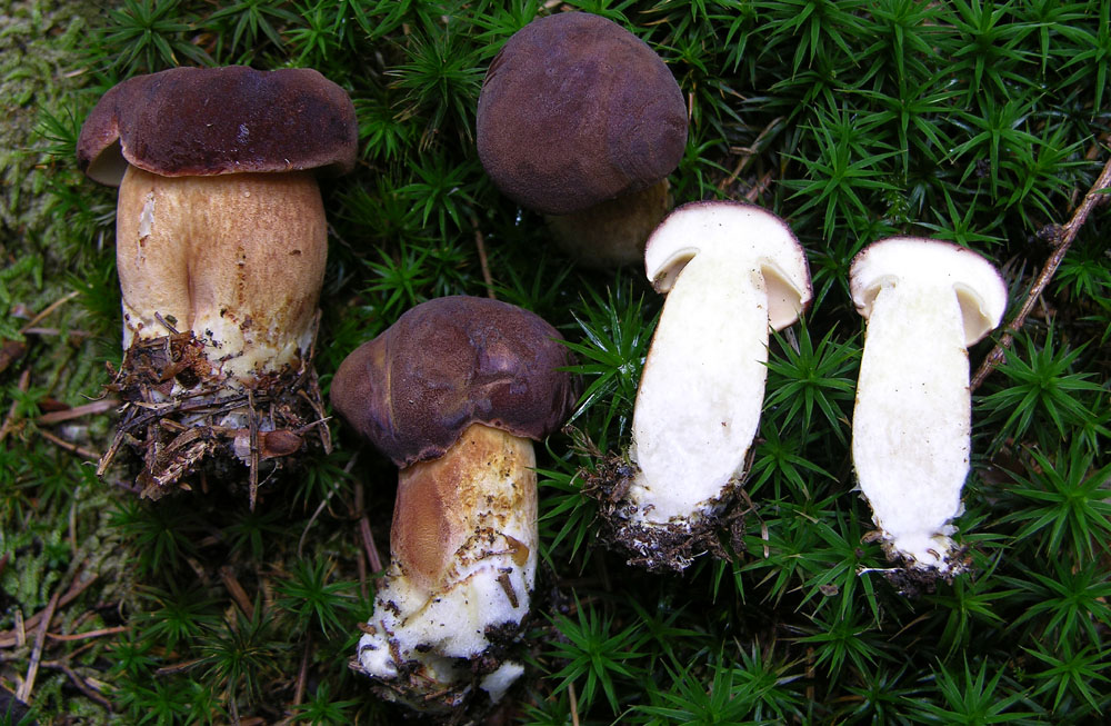 Svuotando l''archivio 2009...parte1